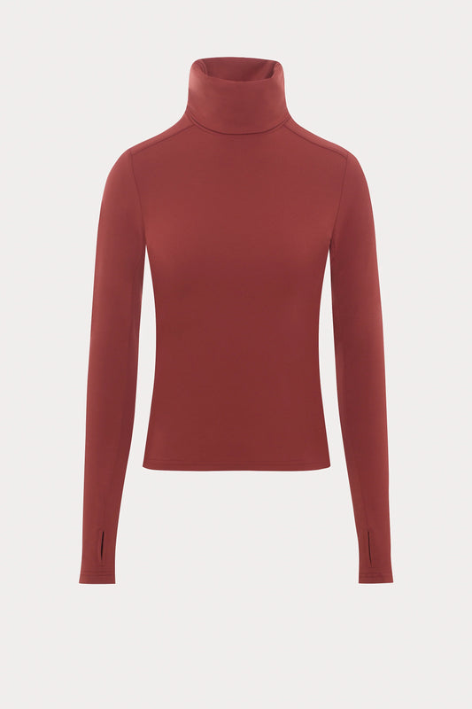 Reddish Brown Turtleneck Sweater Top